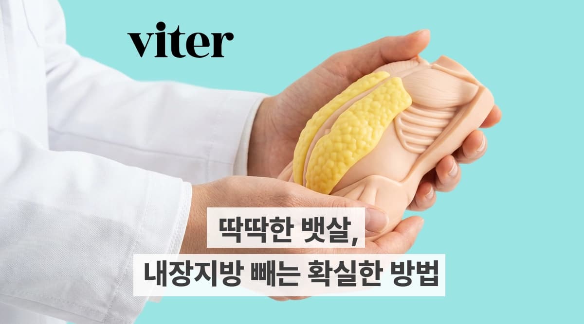 내장지방 빼는 법